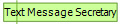 Text Message Secretary